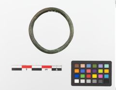 Foto von Bronzering (NHMW-PRAE-023672)